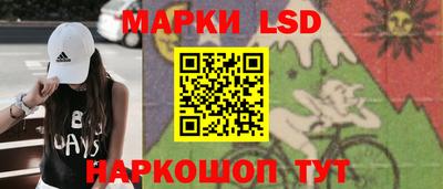 гидра Заводоуковск