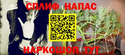 крисы Жуковский
