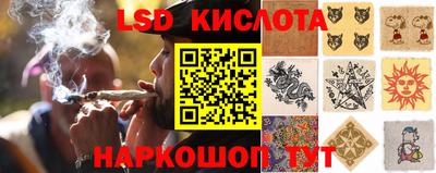 гидра Заводоуковск