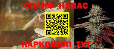 гидра Заводоуковск