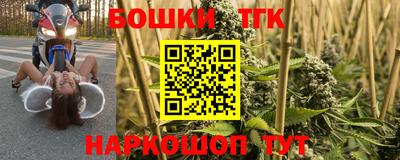 СК Донской