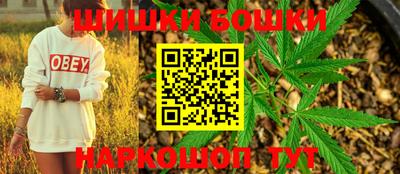 гидра Заводоуковск