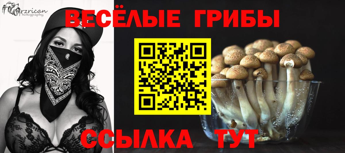 Псилоцибиновые грибы мицелий Михайловск